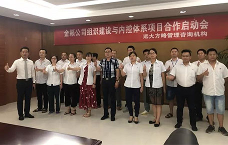 蓄力再發(fā)，金籟科技攜手遠大方略落地管理咨詢項目
